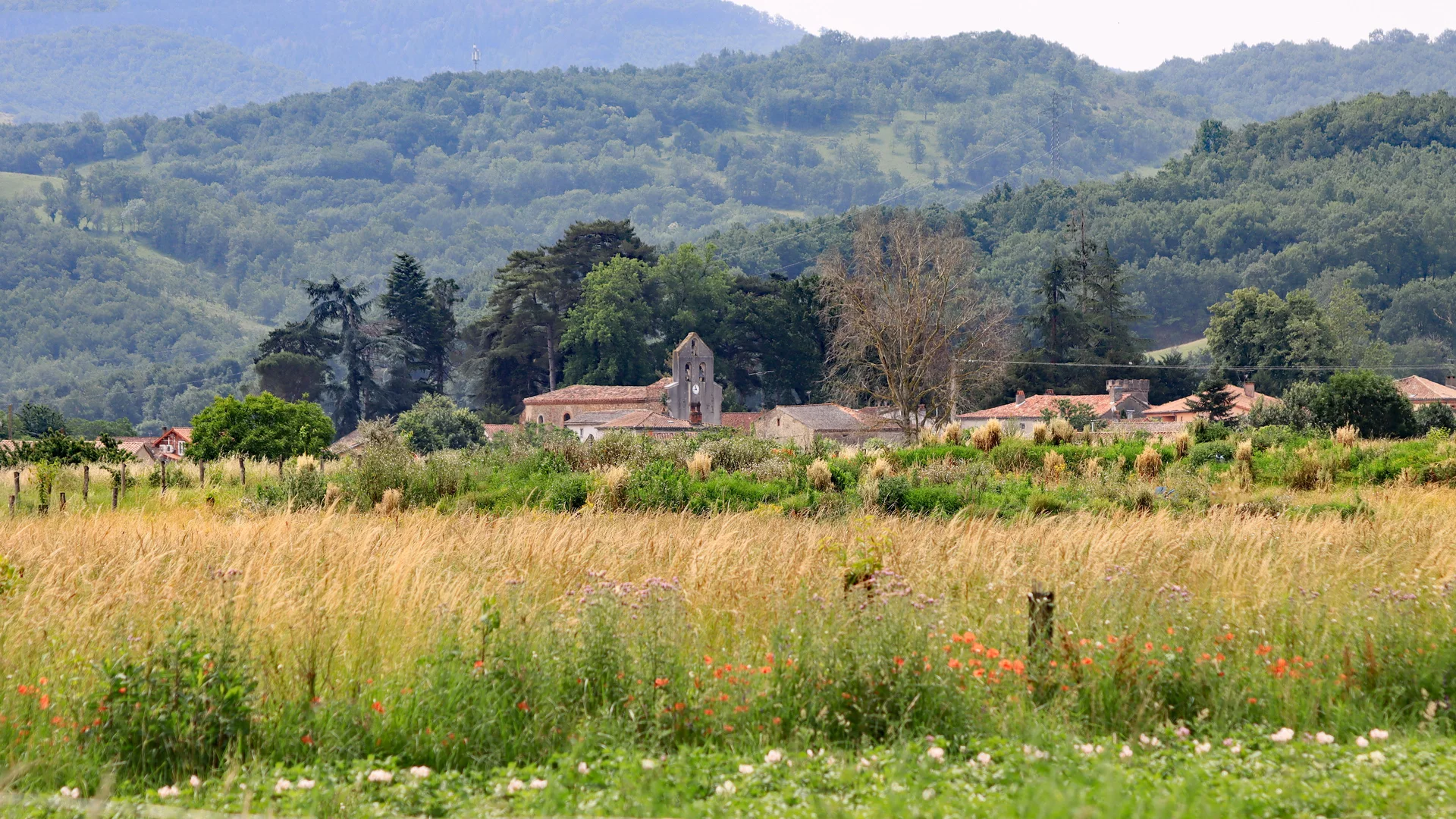 Le village des Issards, en Ariège, avec ses maisons et les reliefs boisés à l’arrière-plan